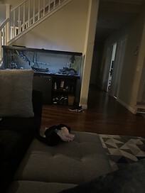 My 150 gll Fresh water tank