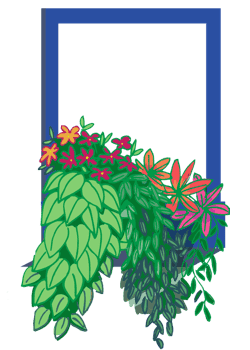 A window with a flower box filled with summer foliage.