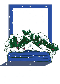 A window with a flower box filled with winter foliage.